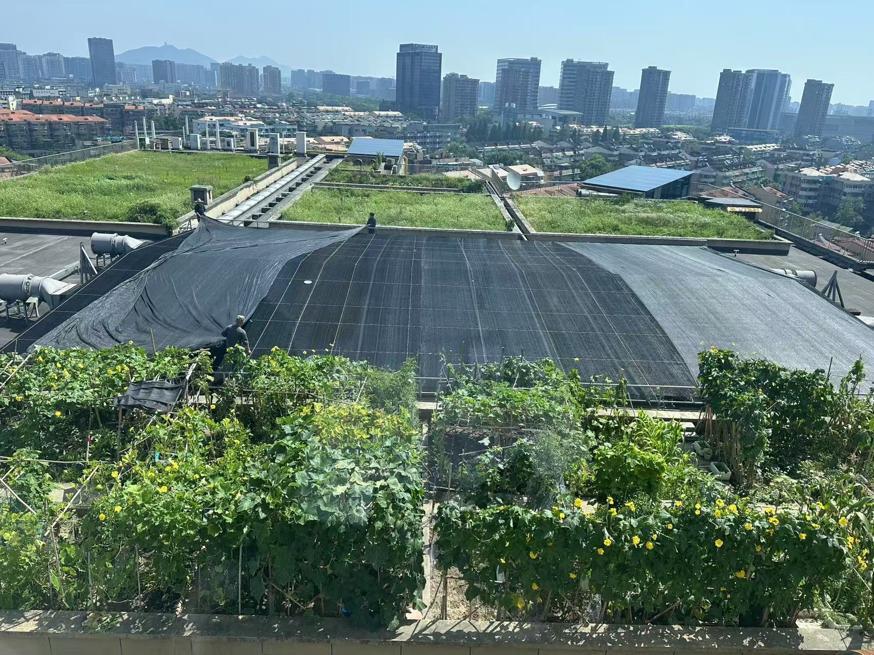 水晶城巧施”遮陽術“，為節(jié)能降耗注入清涼動力